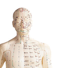 307_acupuncture_acupressure_model_chest_head_meridians_gettyimages-484053894_podcast 307_acupuncture_acupressure_model_chest_head_meridians_gettyimages-484053894_podcast